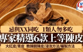 菜谱图片库专家精选6款上等陈皮中医教忌与X同吃附拣选处理方法