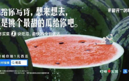 娱乐吃瓜的文案,吃瓜群众必备的幕后花絮大汇总