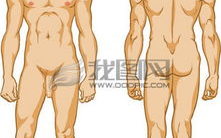 女性人体照片,艺术与审美的交融