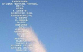 新沂征婚,搭建相亲平台，助力单身男女寻觅良缘
