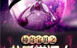 神奇宝贝之龙系掌门人,龙系掌门人的神奇宝贝传奇之旅
