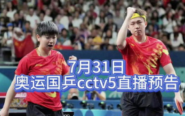 中央5台乒乓球直播,精彩对决，激情燃烧的乒乓球之夜”