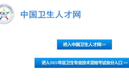 中国卫生人才网成绩打印入口,便捷查询与打印流程详解