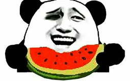 娱乐吃瓜酱出远门,揭秘明星出远门背后的秘密