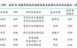 货币基金482002,稳健收益与低风险投资解析