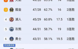nba积分榜,东西部排名及球队战绩概览