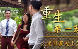 重生第一宠:大佬甜妻宠上天,霸道总裁的甜蜜宠妻之路