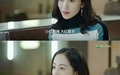 娱乐圈全员吃瓜小说推荐,全民瓜田,谁主沉浮?