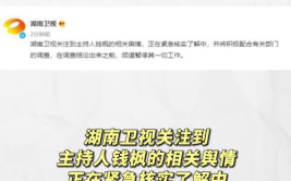 娱乐吃瓜开场白,揭秘明星们的“吃瓜”时刻