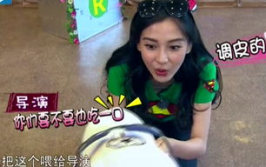 娱乐吃瓜酱笑声视频大全,笑翻天!娱乐吃瓜酱笑声视频大全集锦