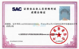 证券从业资格考试查询,全面解析与备考指南